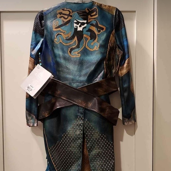 🎃 Disney Descendants Halloween Costume 🎃 - Picture 2 of 5